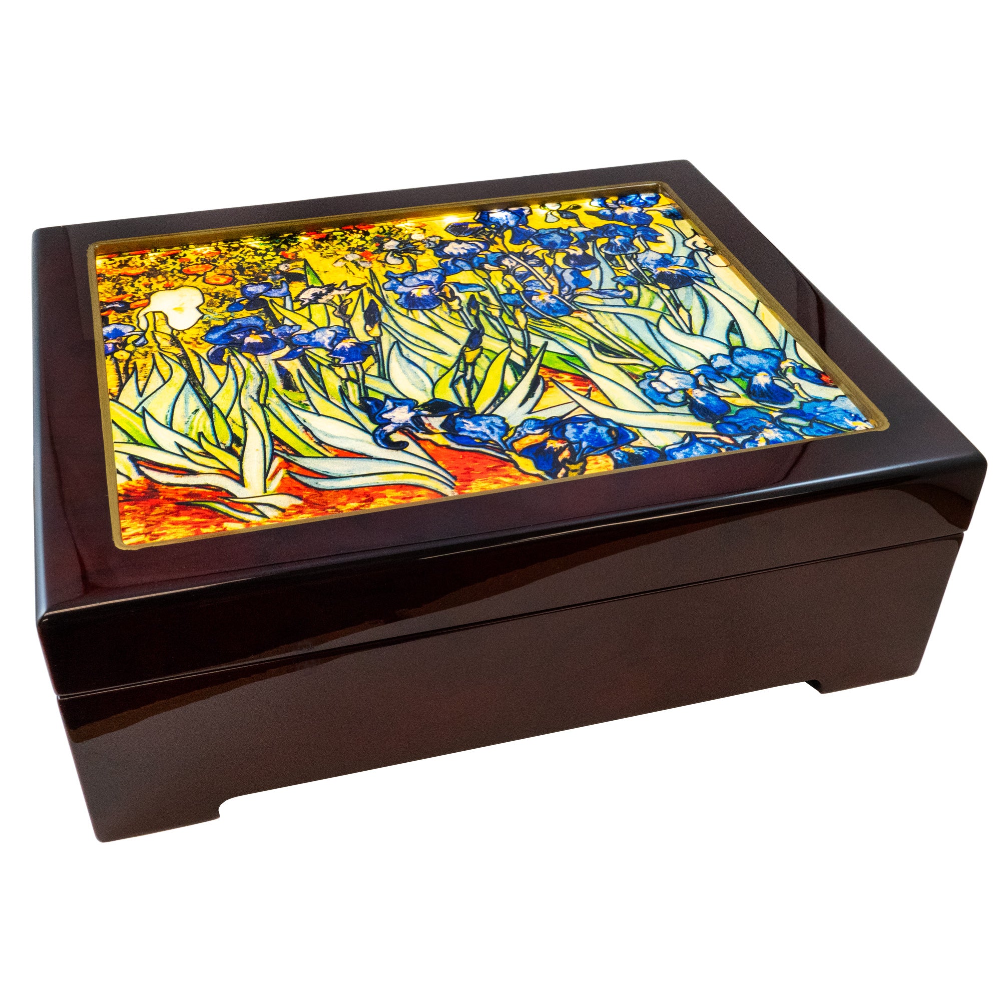 Illuminated Van Gogh Iris Flower Music Box